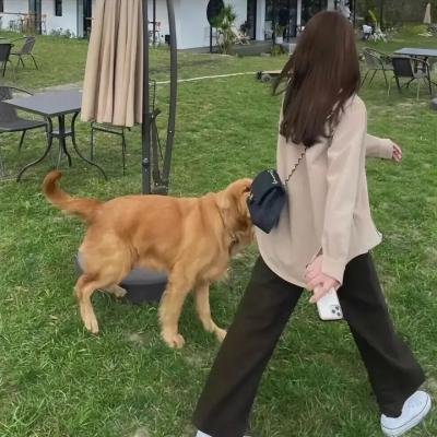 梅布尔的失误